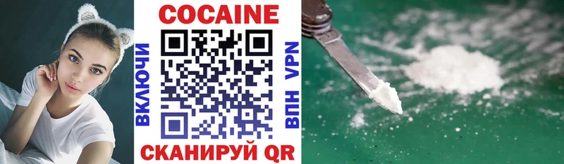 как найти закладки  Петухово  Кокаин Эквадор 