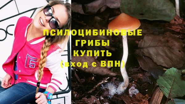 спайс Краснослободск