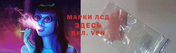 стаф Красноперекопск