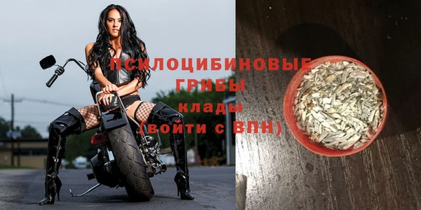 спайс Краснослободск