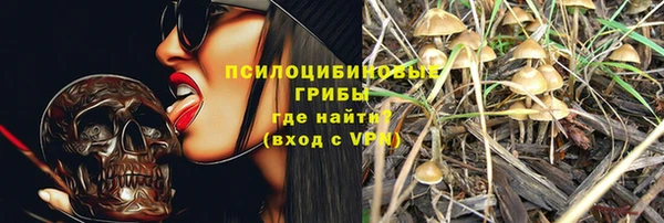 спайс Краснослободск